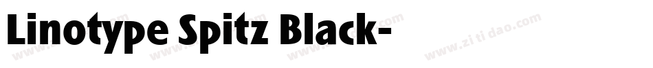 Linotype Spitz Black字体转换